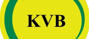 Karur vysya bank