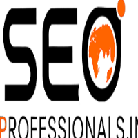 SEO Professionals