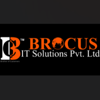 Brocus IT Solutions