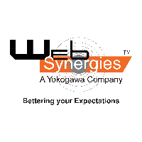 Web Synergies