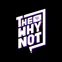 The Why Not AI