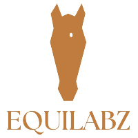 Equilabz