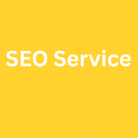 SEO Services Pakistan