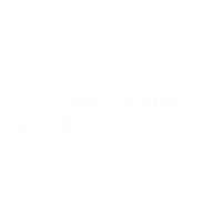 primetechnologiesglobal
