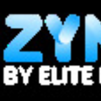 ZYNO Digital Website Development Company