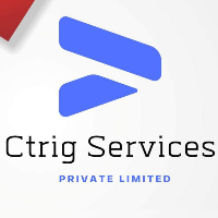 Ctrig Services Private limited