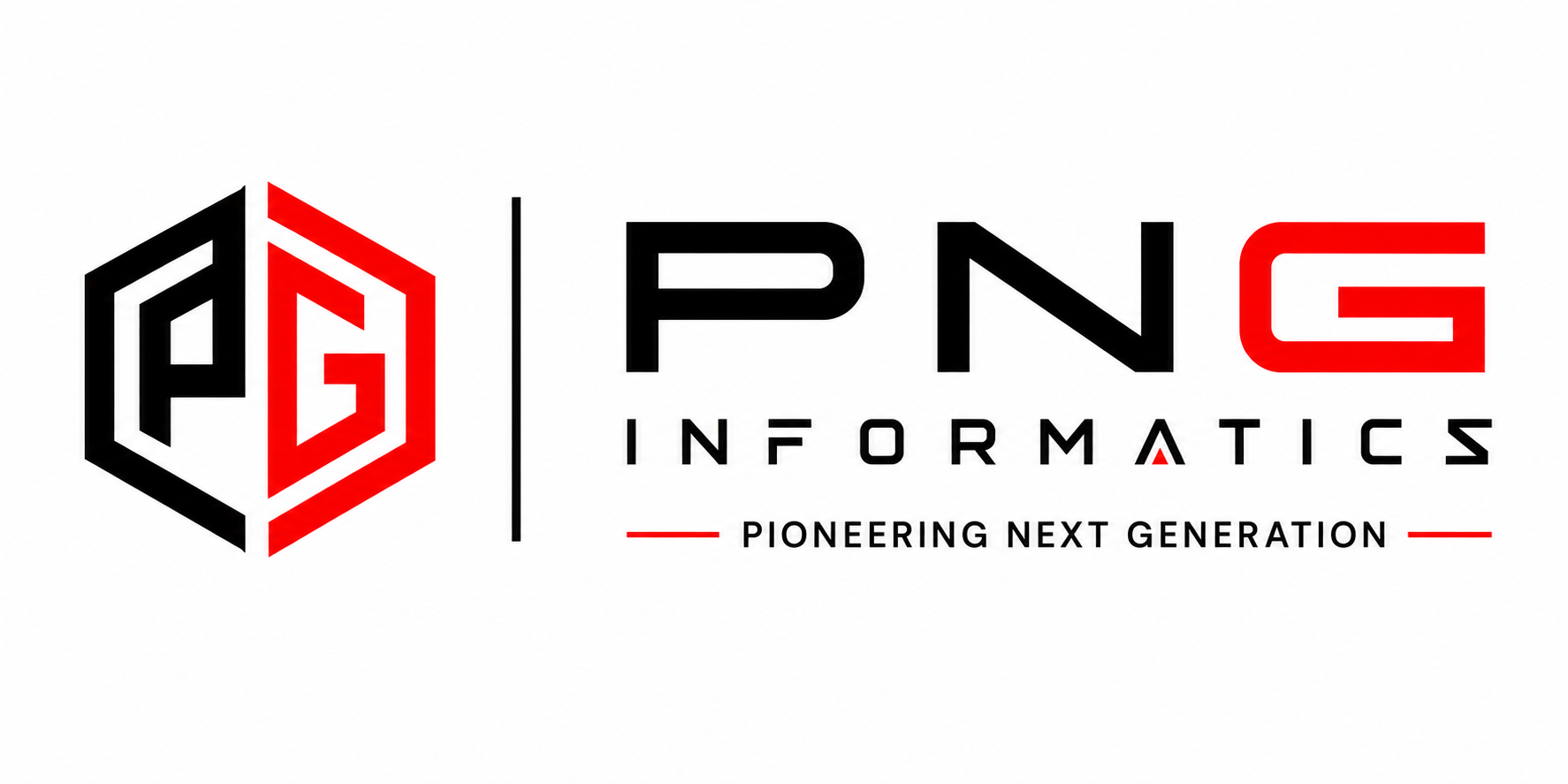 PNG Informatics Pvt Ltd