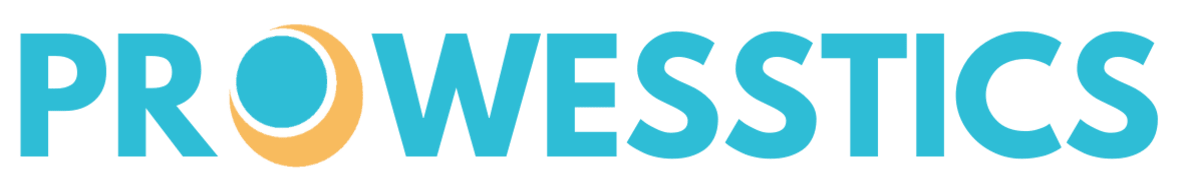Prowesstics IT Service