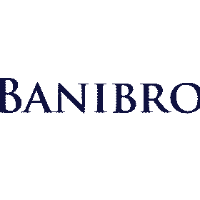 Banibro IT Solutions