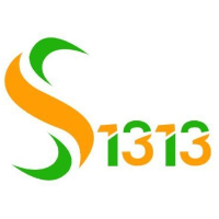 Solutions 1313