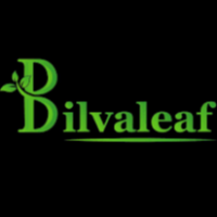 Bilvaleaf Private Limited