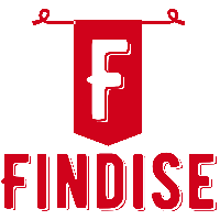 Findise Solutions Private Limited