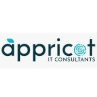 Appricot IT Consultant