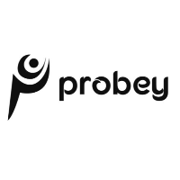 PROBEY SERVICES
