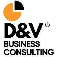 D&V Business Consulting