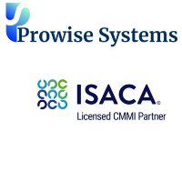 Prowise Systems