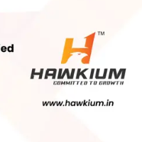 Hawkium - Digital Marketing Agency