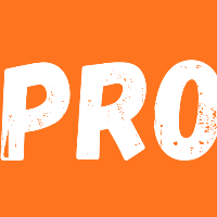 Franchiseleadspro