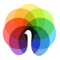 Peafowl IT Solution