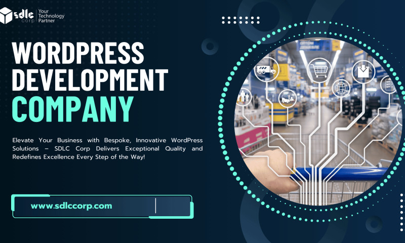 SDLC Corp agency's portfolio