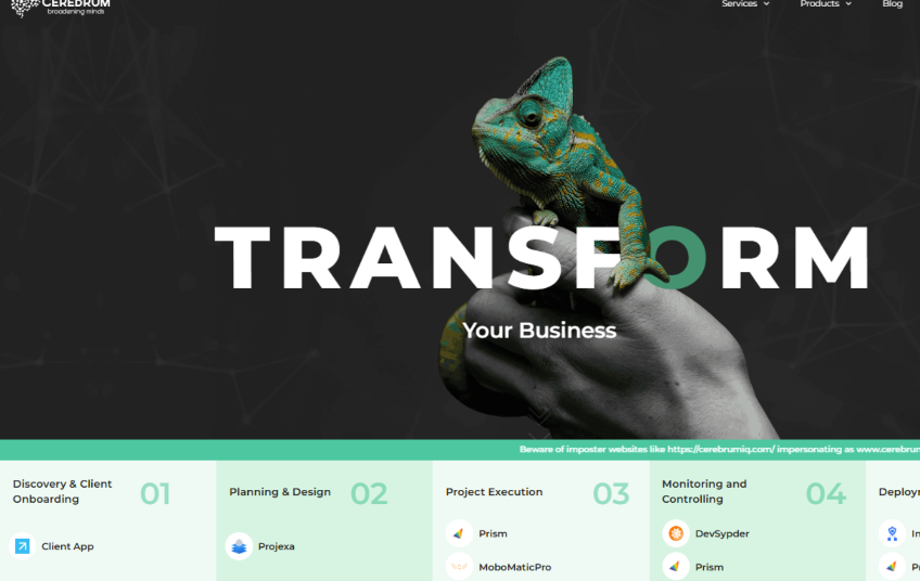 Portfolio