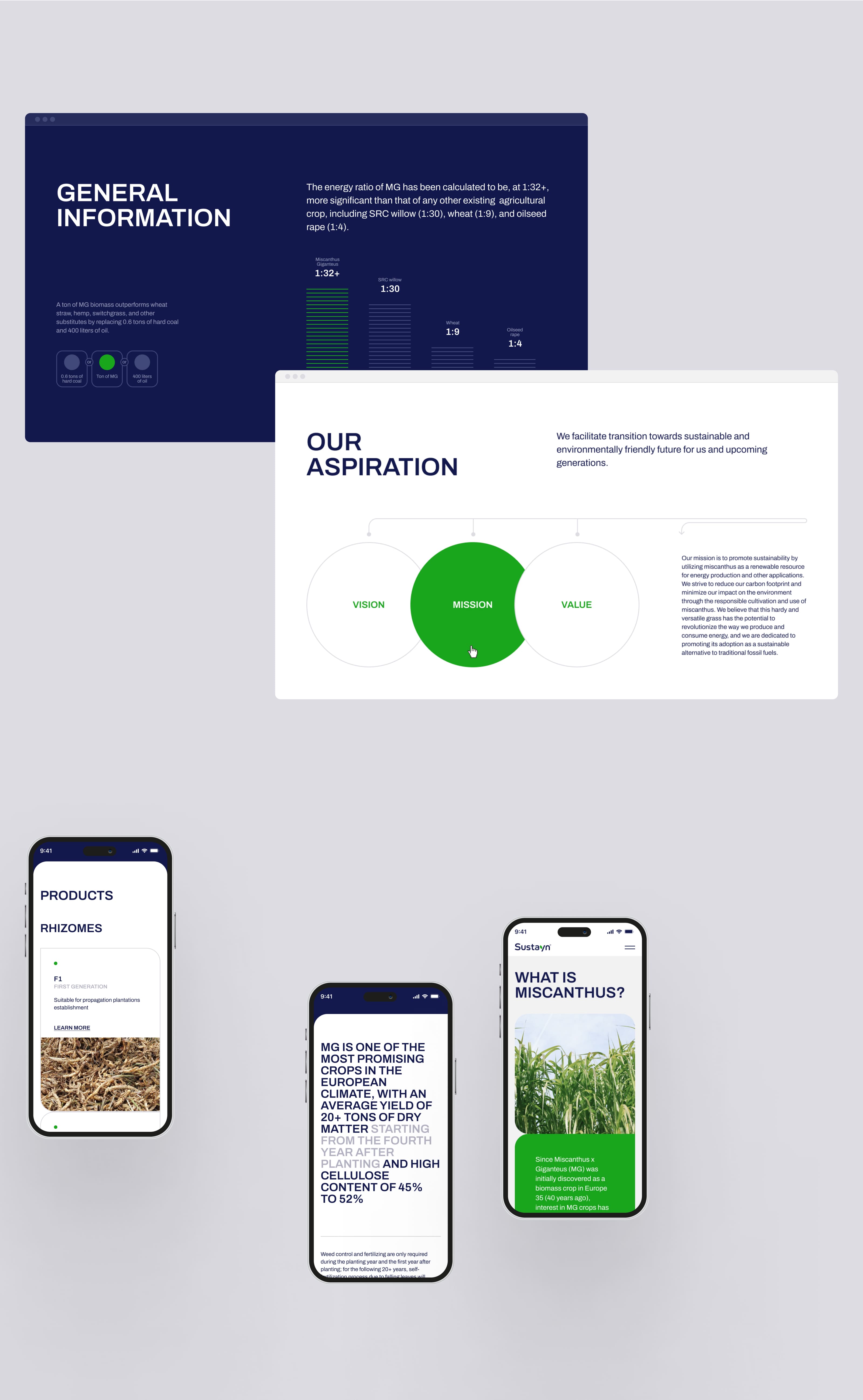 Solar Digital agency's portfolio