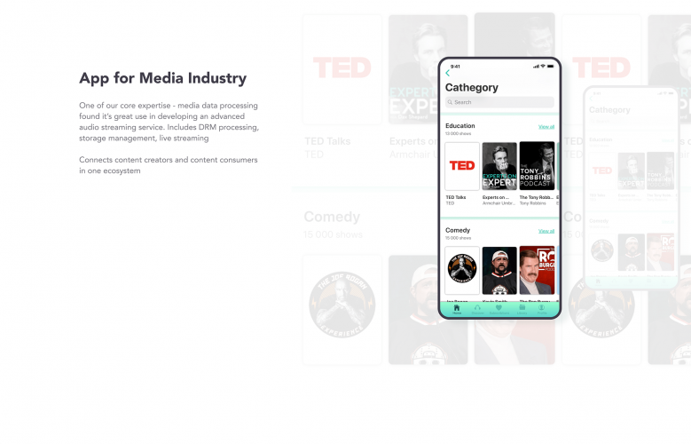 Celadon.Design agency's portfolio