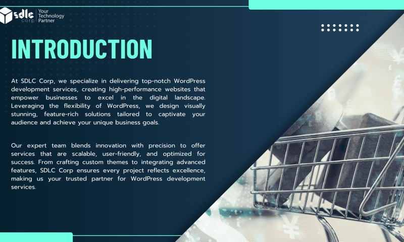 SDLC Corp agency's portfolio