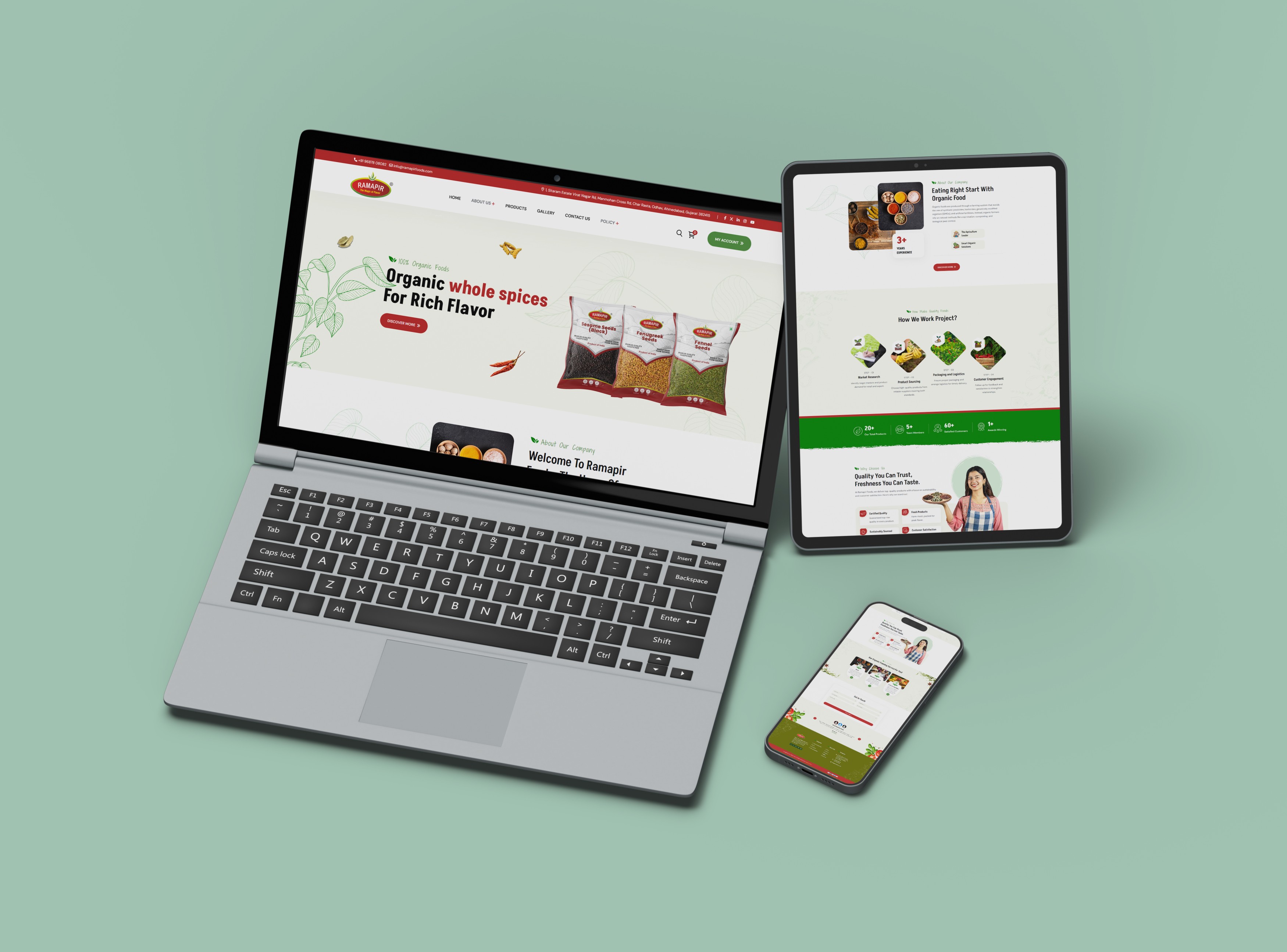 MindstormSoft agency's portfolio