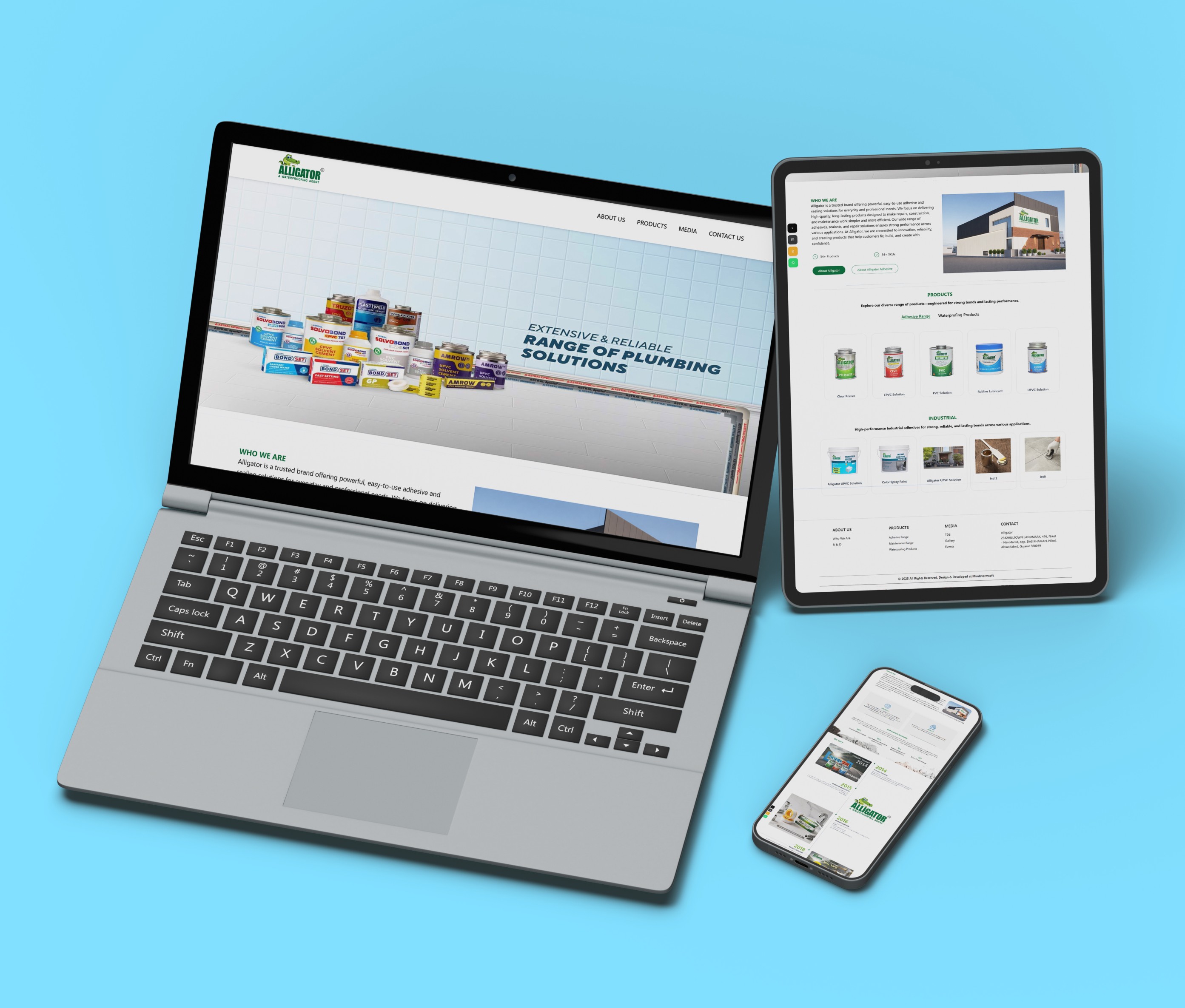 MindstormSoft agency's portfolio