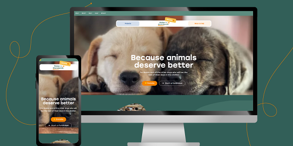 Pennine Technolabs agency's portfolio