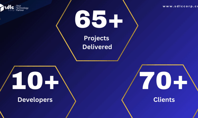 SDLC Corp agency's portfolio