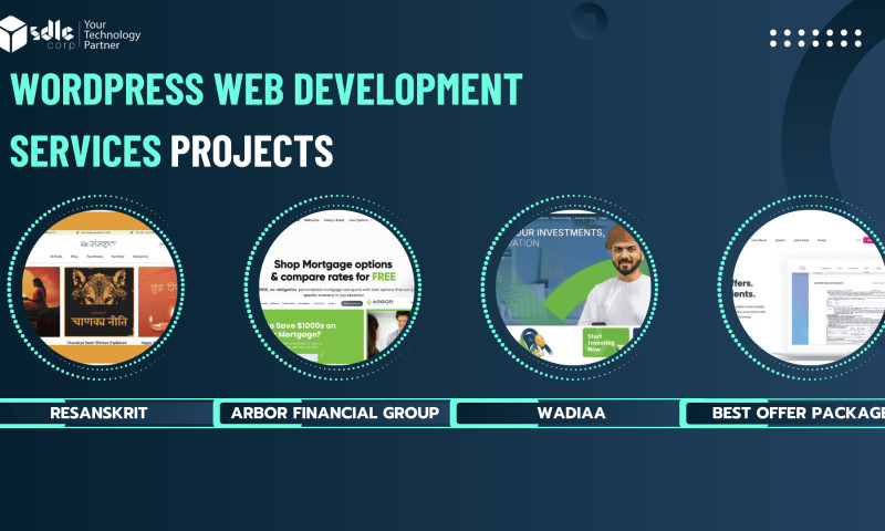 SDLC Corp agency's portfolio