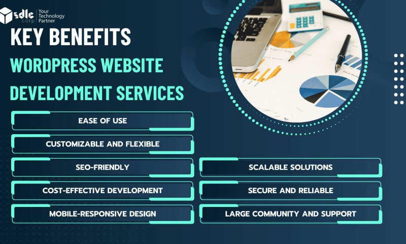 SDLC Corp agency's portfolio