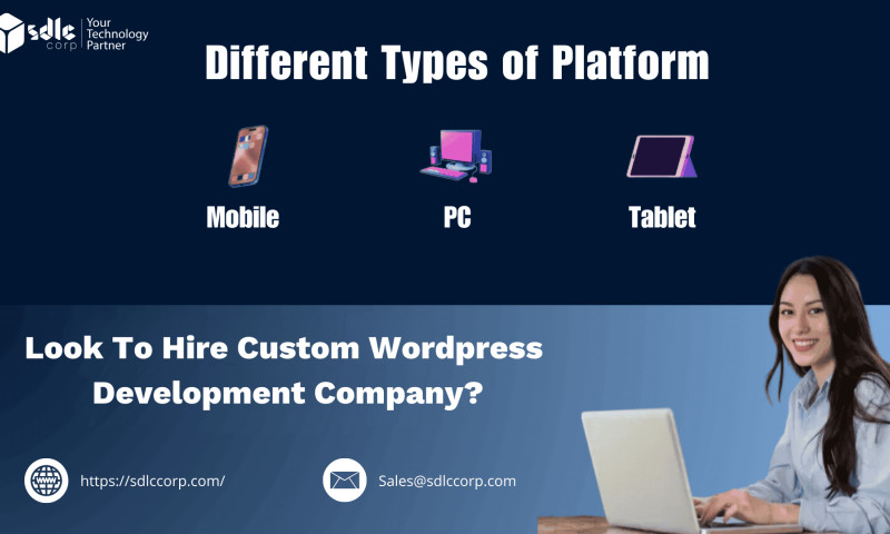 SDLC Corp agency's portfolio
