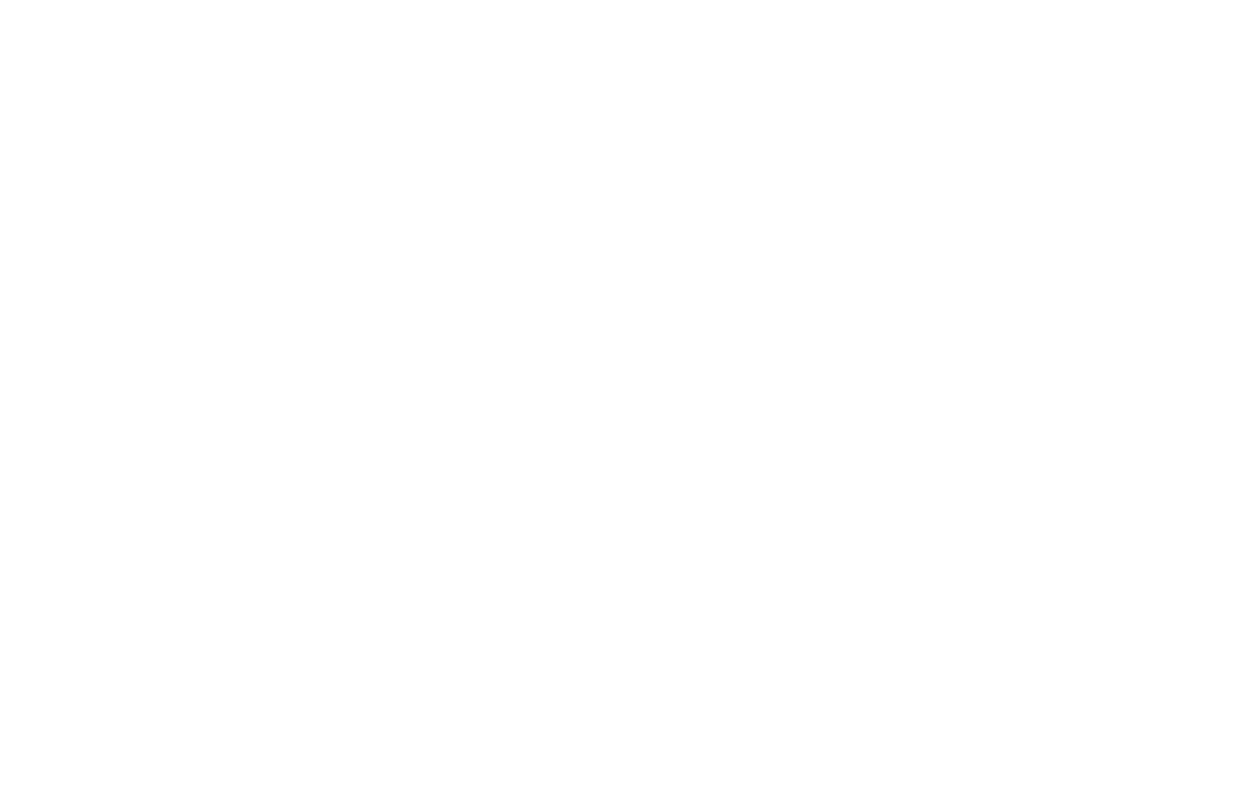 Reliqio agency's portfolio