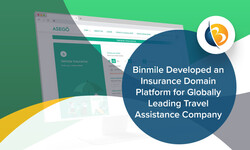 Binmile agency's portfolio