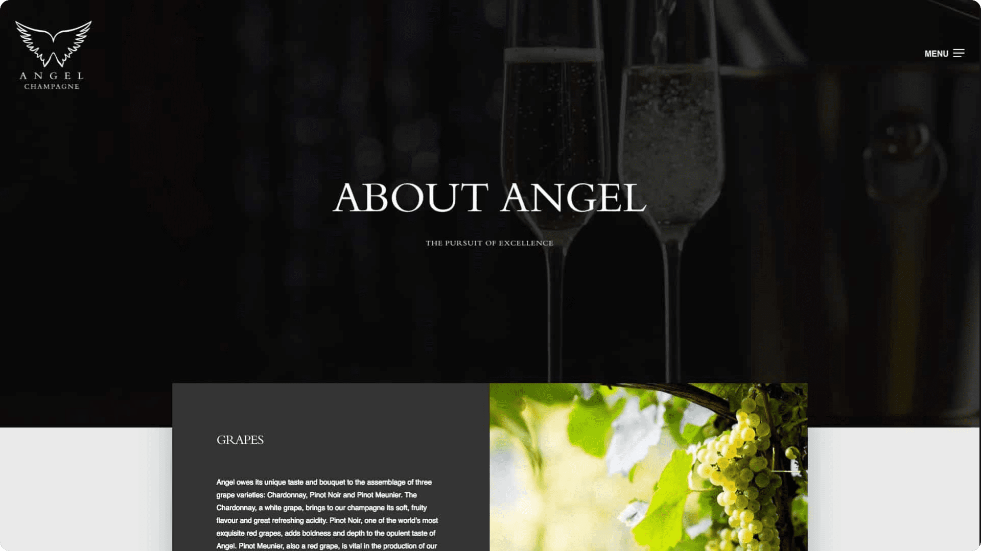 Bird Marketing agency's portfolio