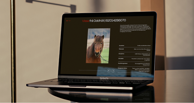 The Weather agency's portfolio
