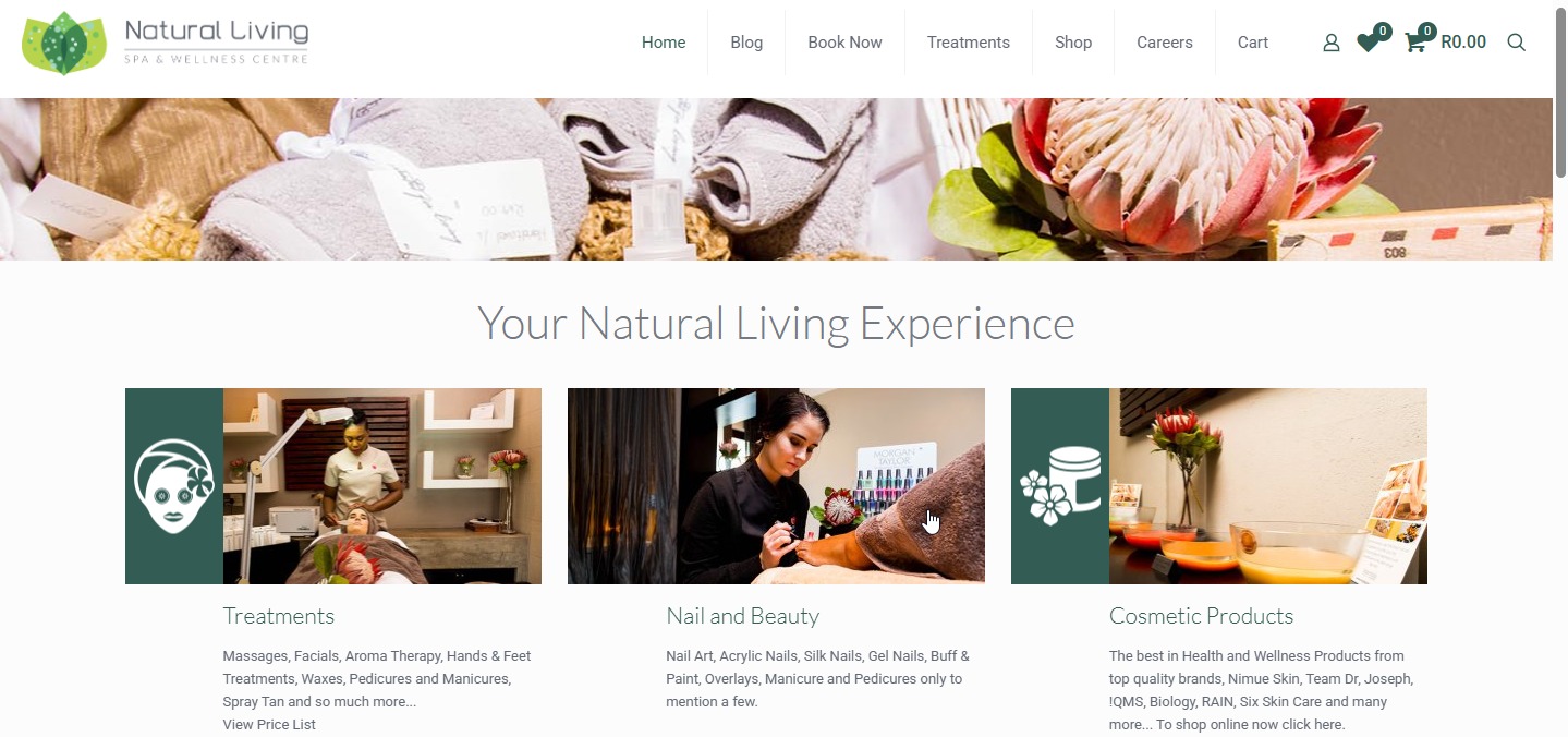 Best Web Design agency's portfolio