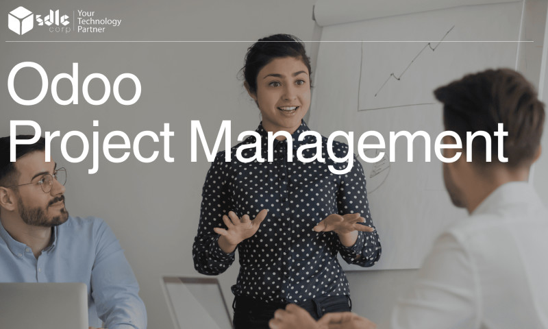 SDLC Corp agency's portfolio