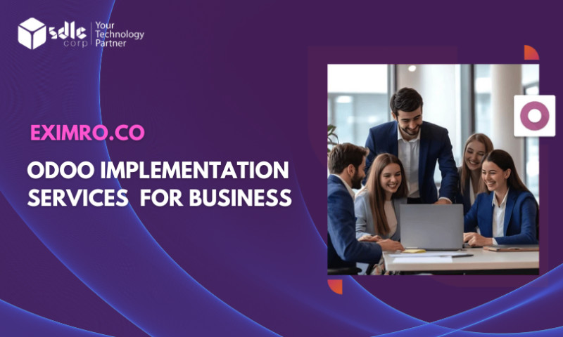 SDLC Corp agency's portfolio