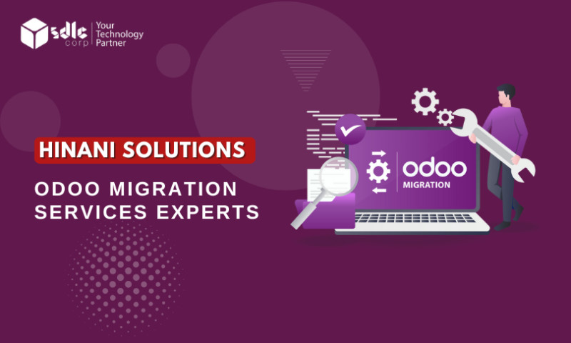 SDLC Corp agency's portfolio