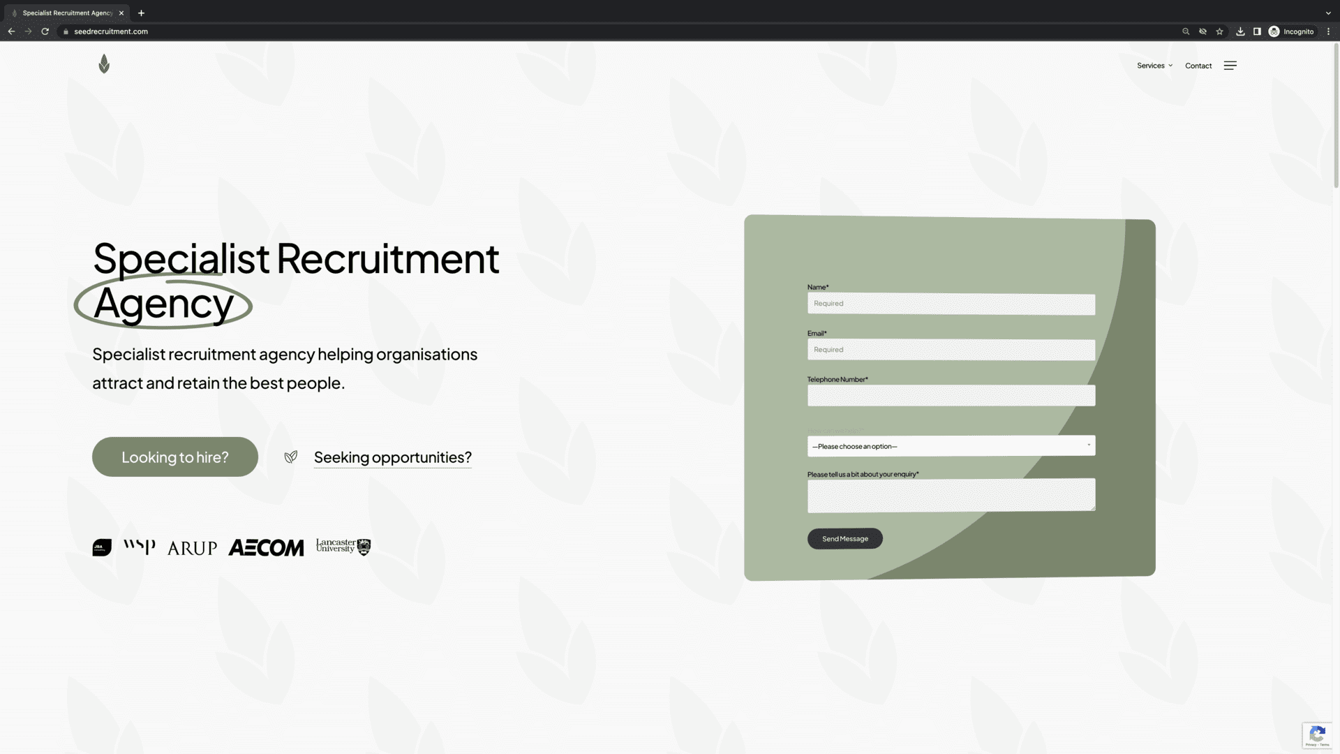 Bird Marketing agency's portfolio