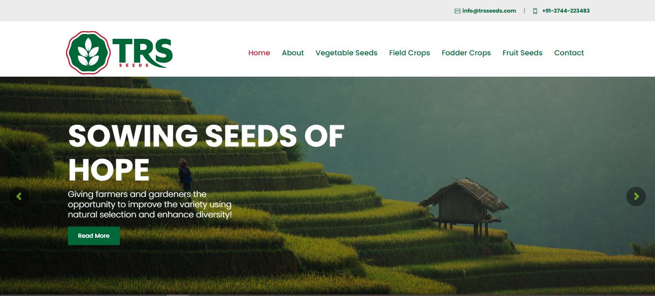 Sedulous agency's portfolio