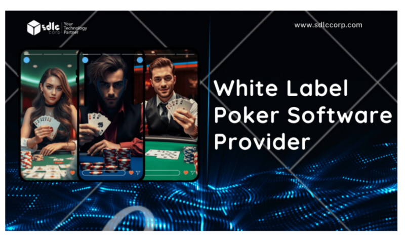 SDLC Corp agency's portfolio