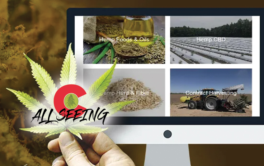 Rave Digital agency's portfolio