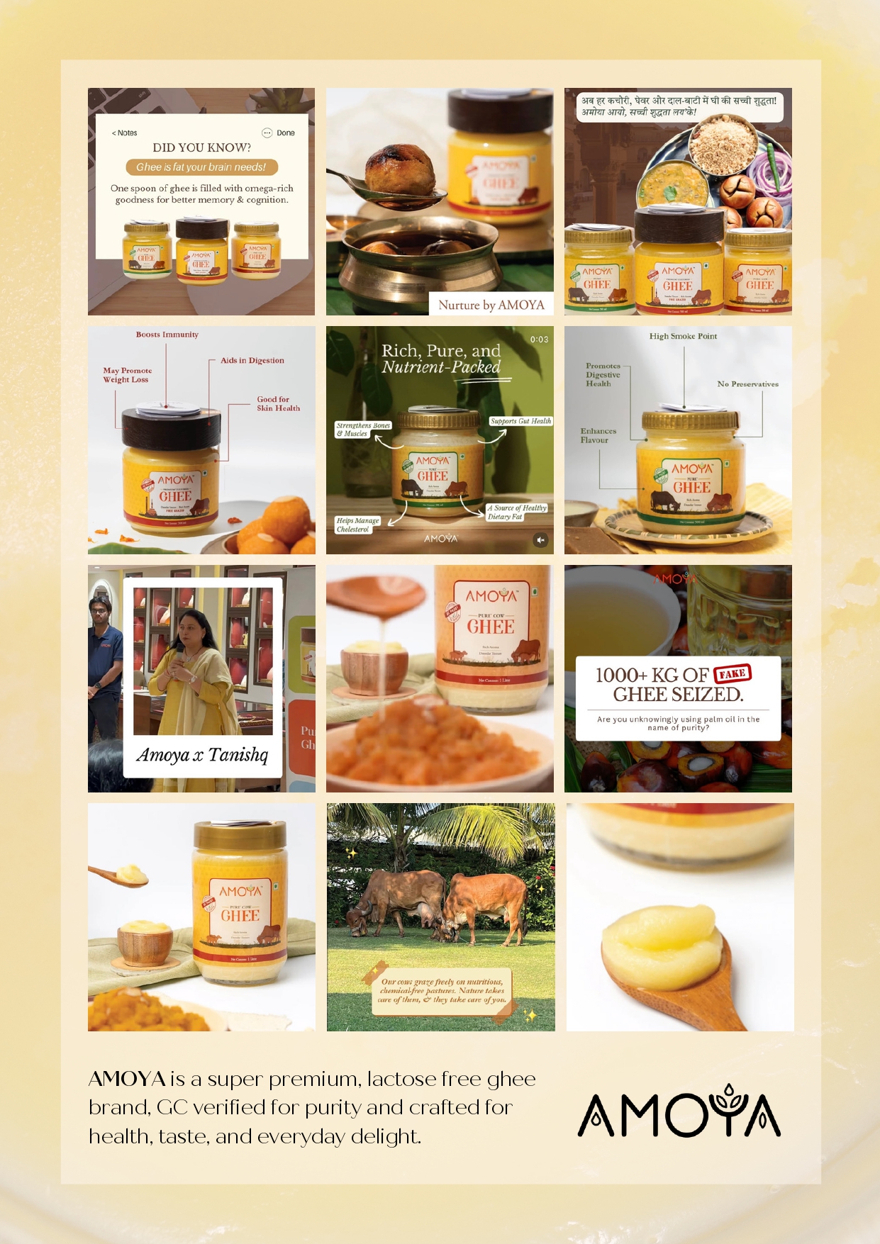 Social Sherpa agency's portfolio