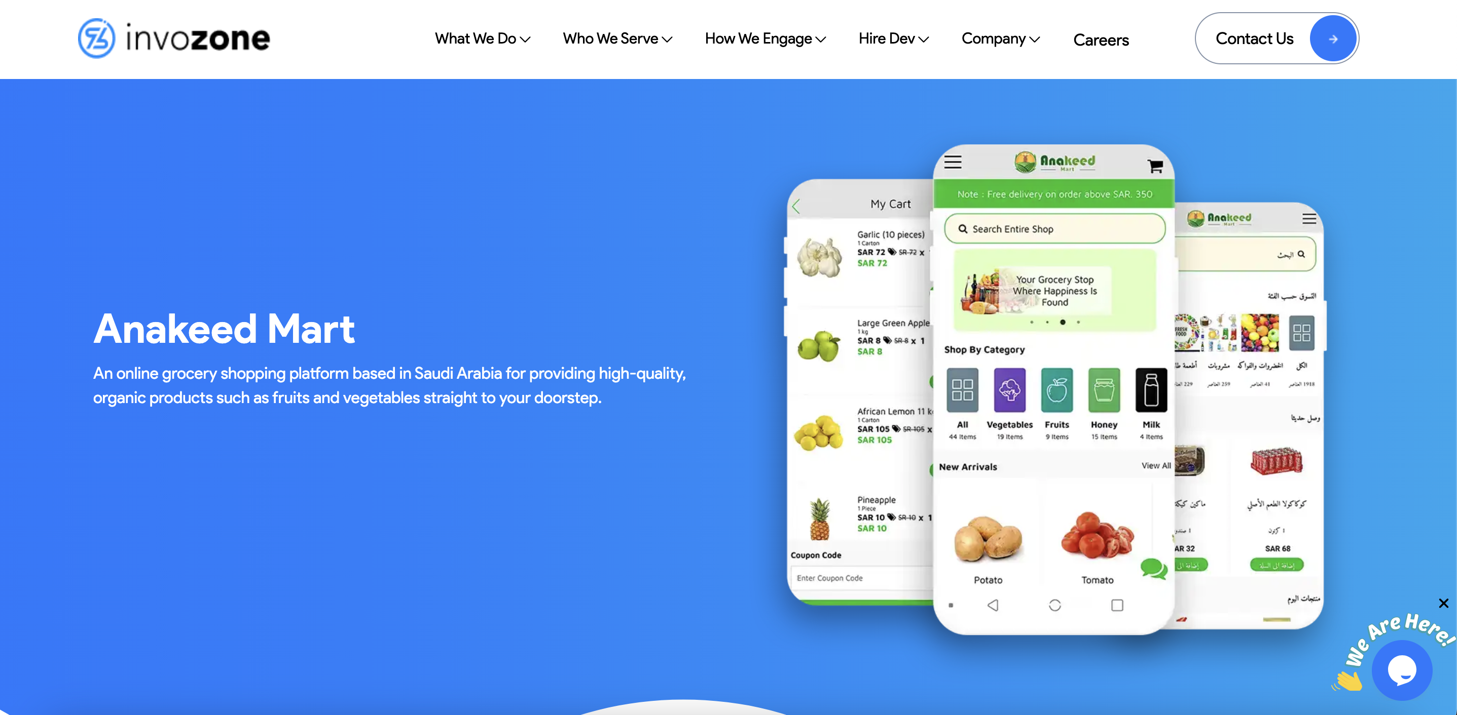 InvoZone agency's portfolio