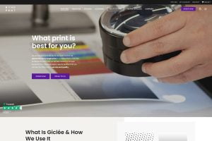Bird Marketing agency's portfolio